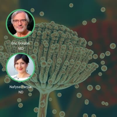 DrTalks Mycotoxins and Chronic Illness Summit​